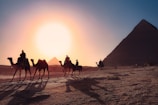 Silhouetted against a bright setting sun, several people ride camels across a desert landscape with prominent pyramids in the background. The scene suggests a journey or expedition, capturing a timeless connection to ancient history.