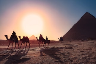 five persons riding camels walking on sand beside Pyramid of Egypt