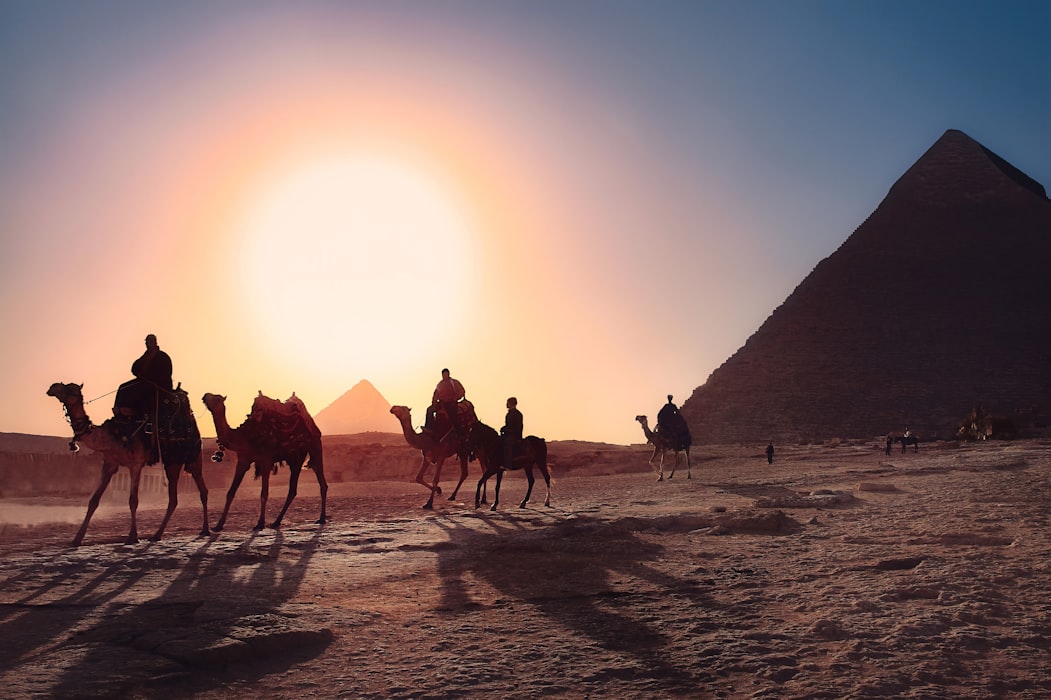 Camels walk in front of the pyramids at sunset