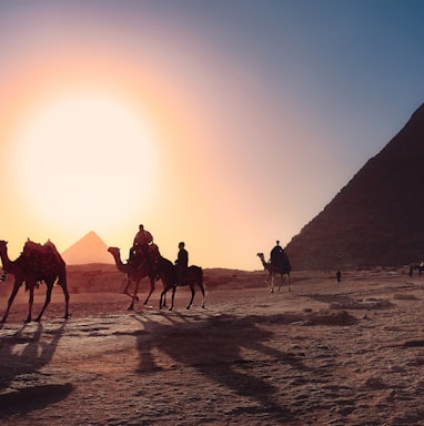 five persons riding camels walking on sand beside Pyramid of Egypt