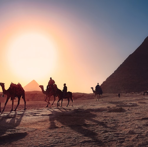 five persons riding camels walking on sand beside Pyramid of Egypt