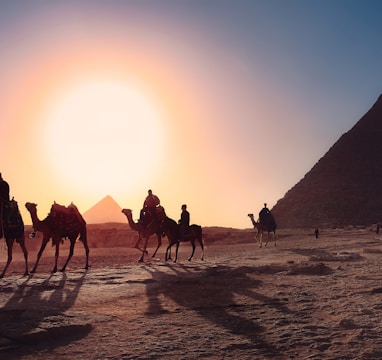 five persons riding camels walking on sand beside Pyramid of Egypt