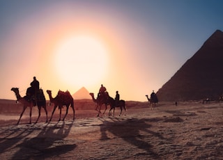 five persons riding camels walking on sand beside Pyramid of Egypt