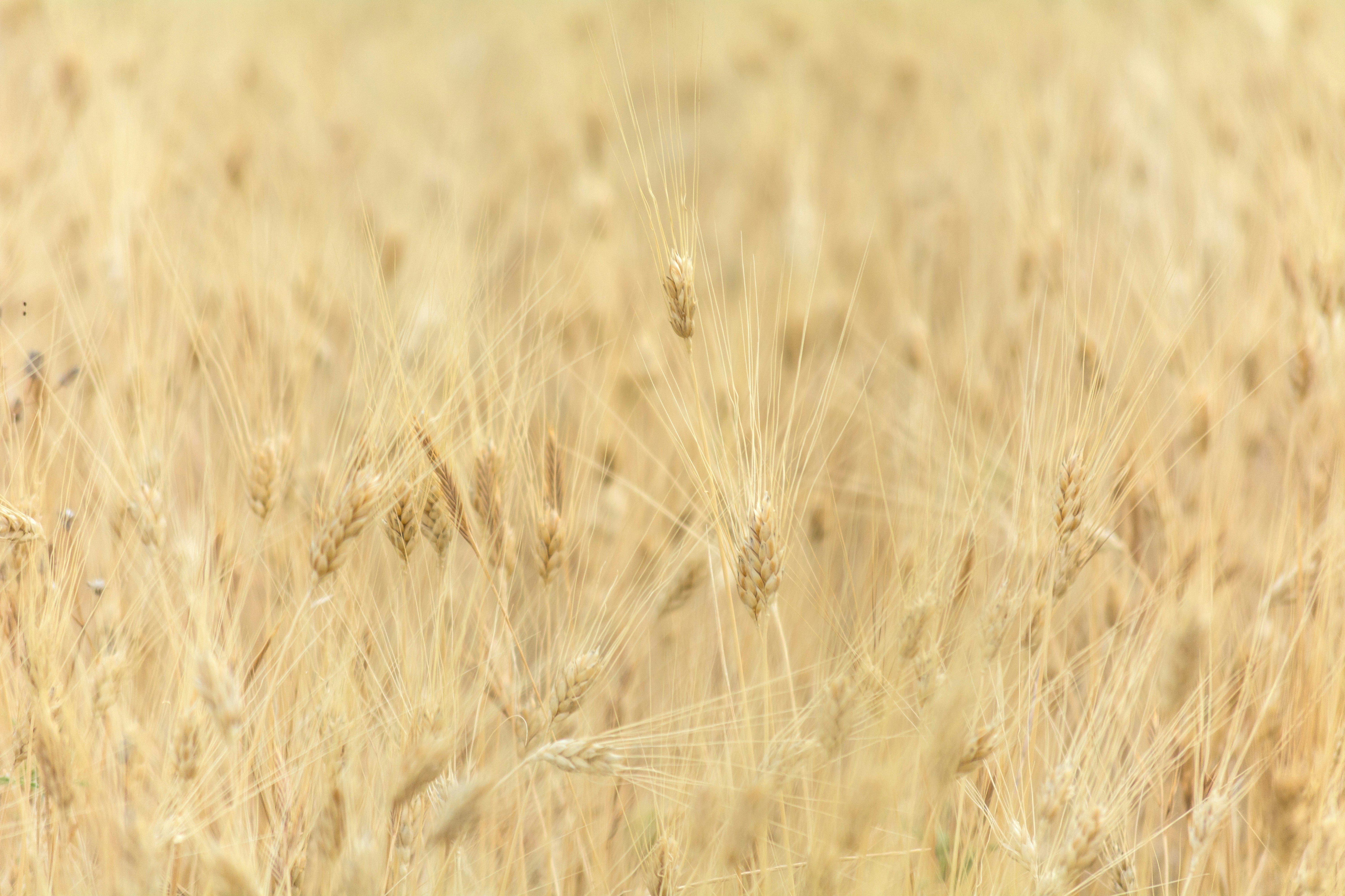 Photo by joseantoniojimenez