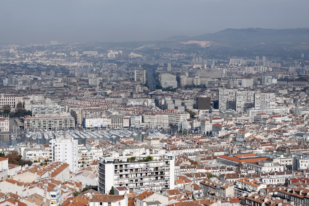 bird's-eye view photography of city