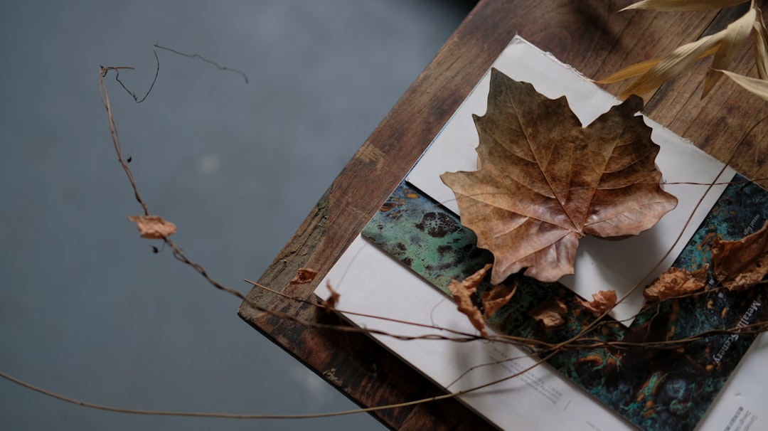 brown leaf on wooden table