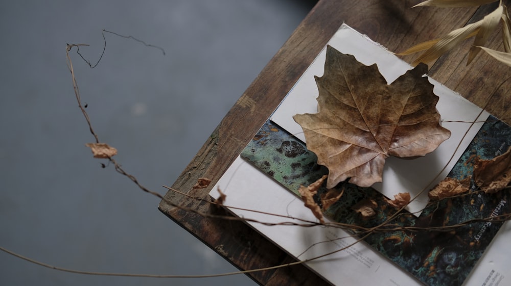 brown leaf on wooden table