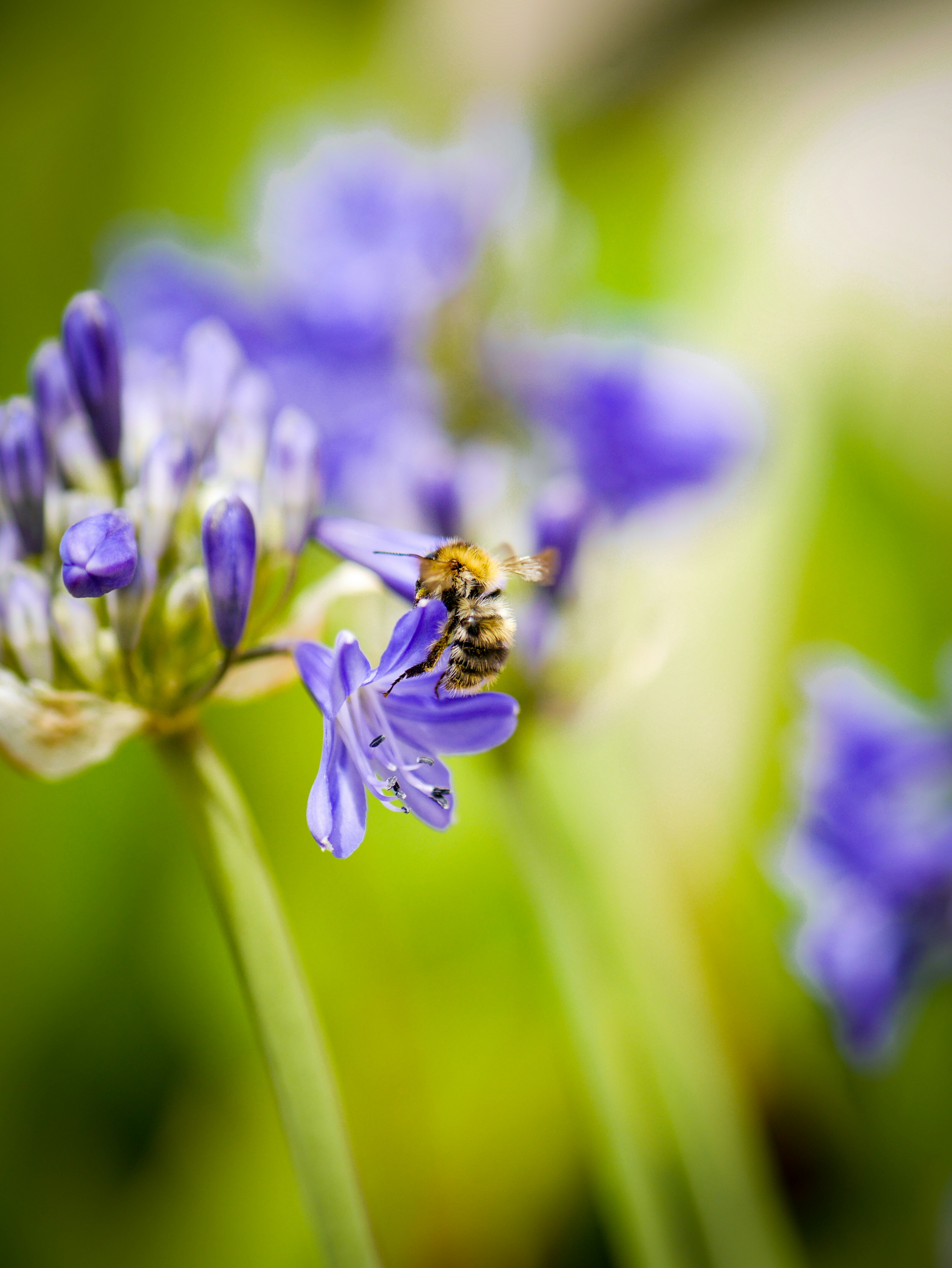 Photo by leandrobighetti