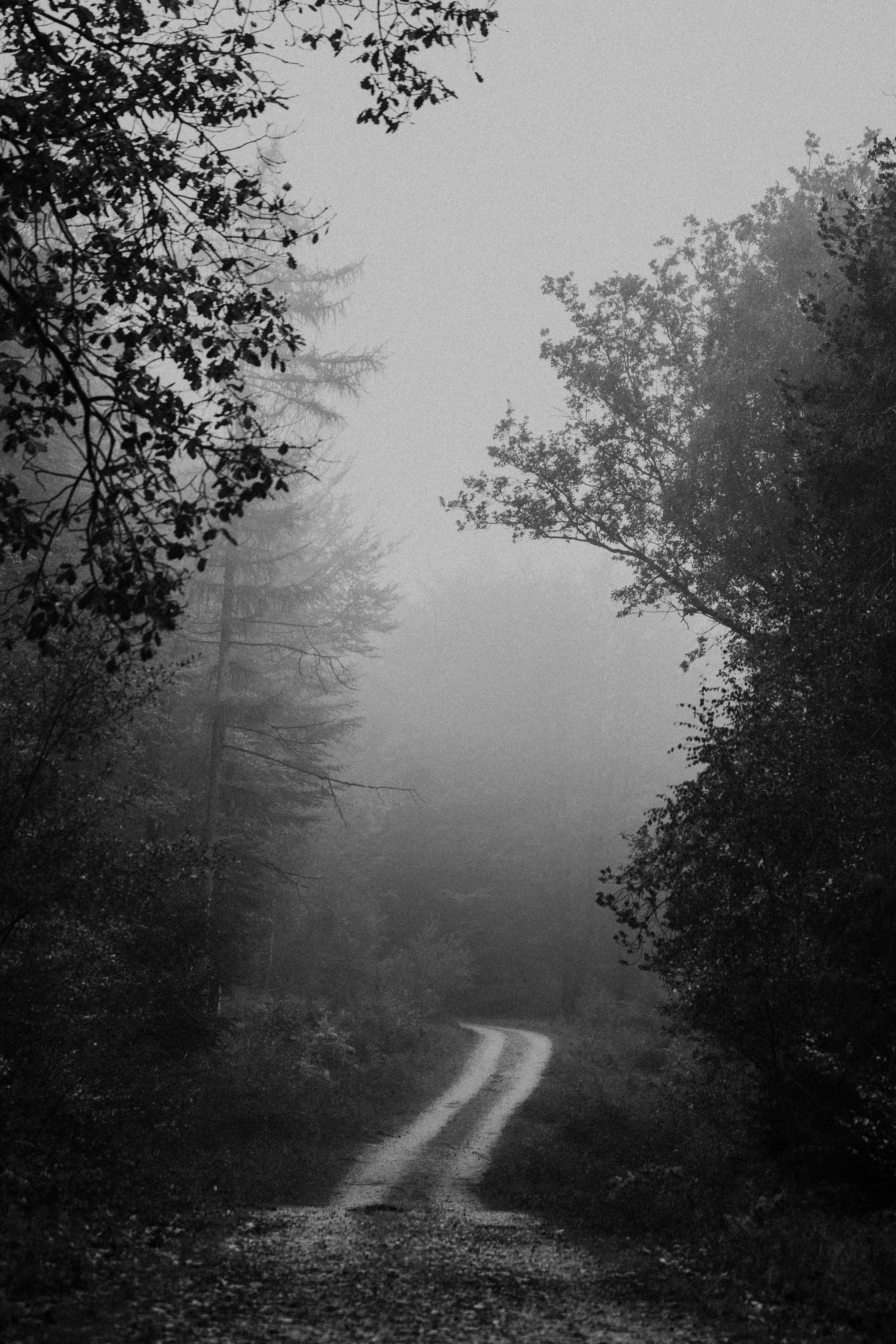 Photo by anniespratt