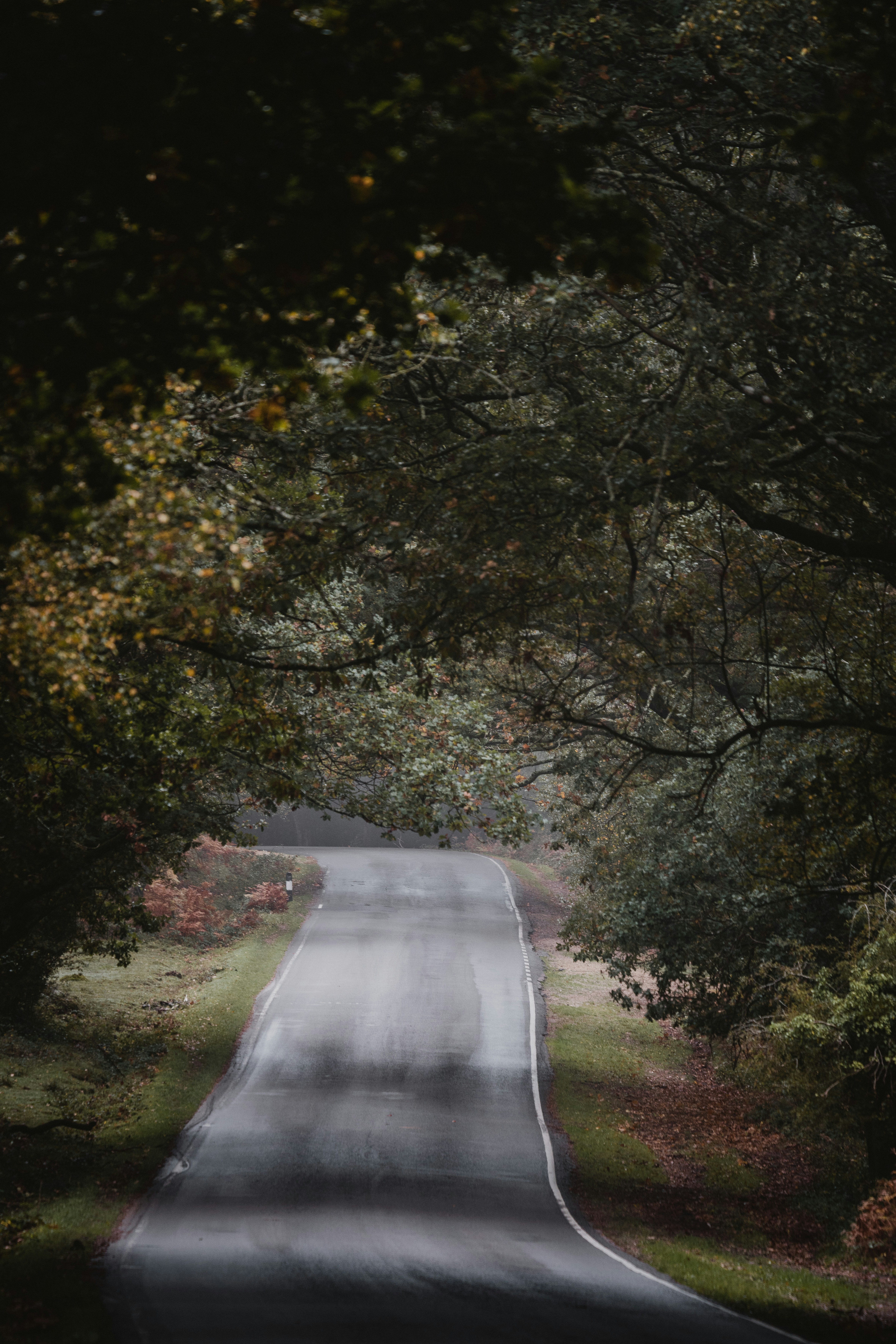 Photo by anniespratt