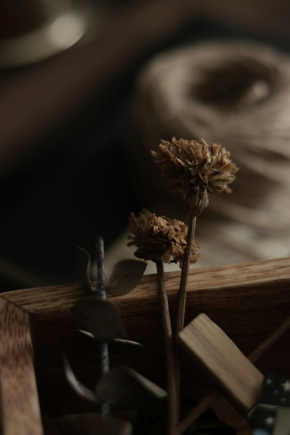 brown dried flower on brown wooden plank