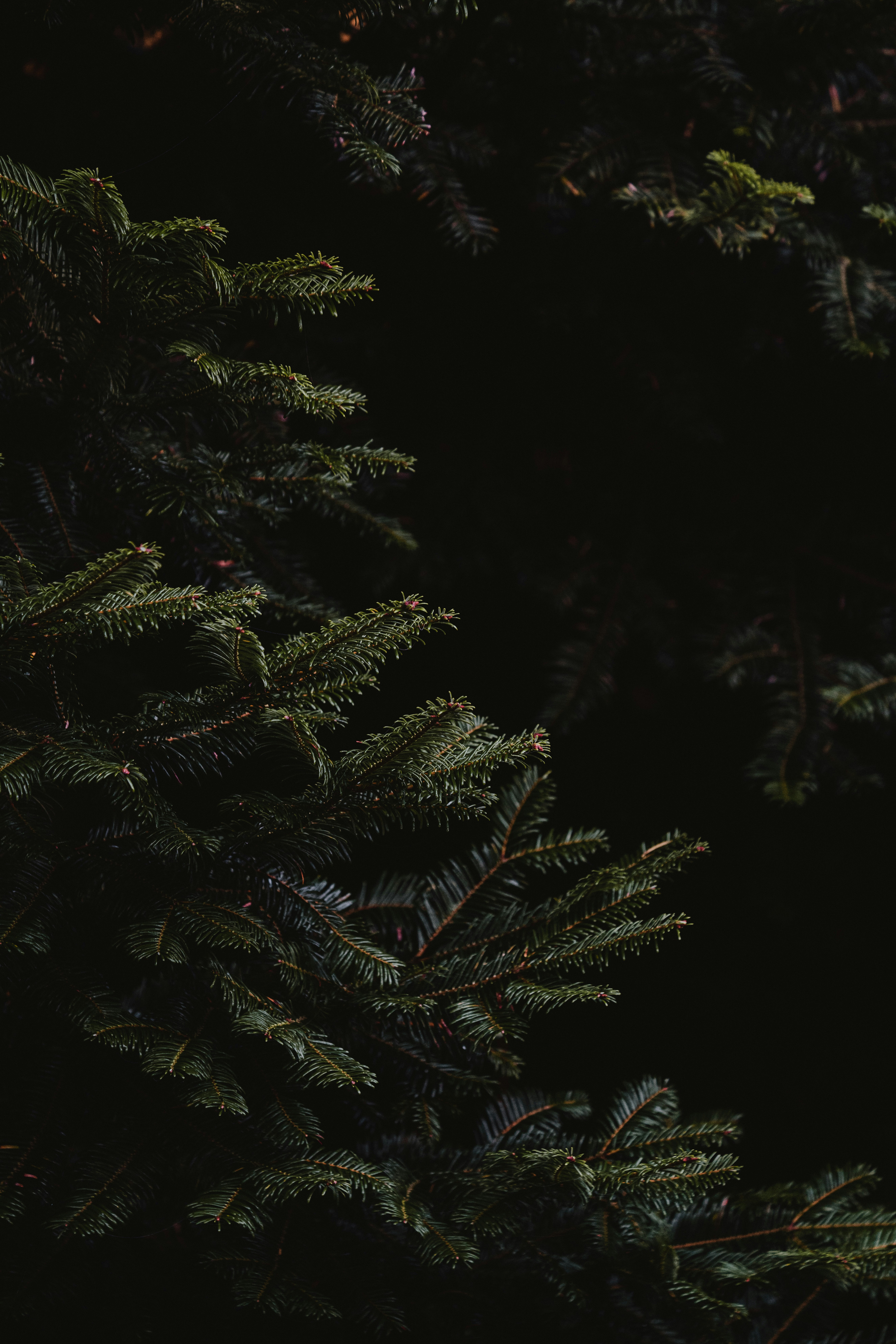 Photo by anniespratt