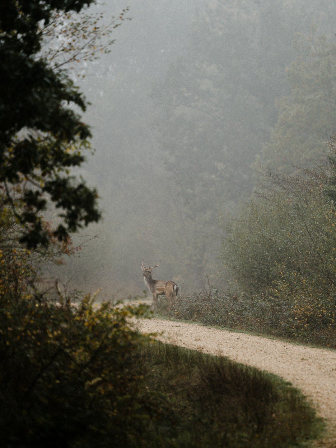 River photo spot New Forest National Park Pirbright