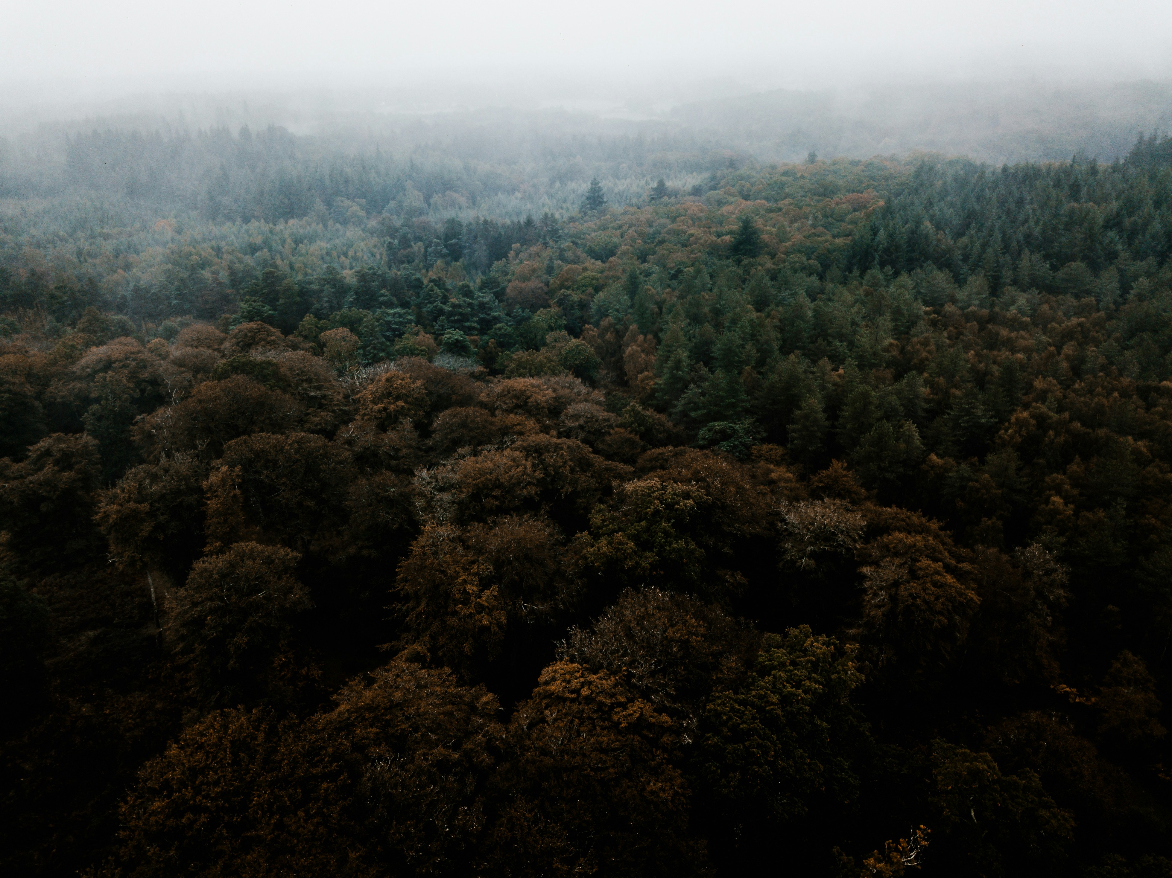 Photo by anniespratt