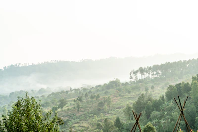 A serene view of the fog-covered landscape at Gorthan, showcasing the mist weaving through lush greenery.