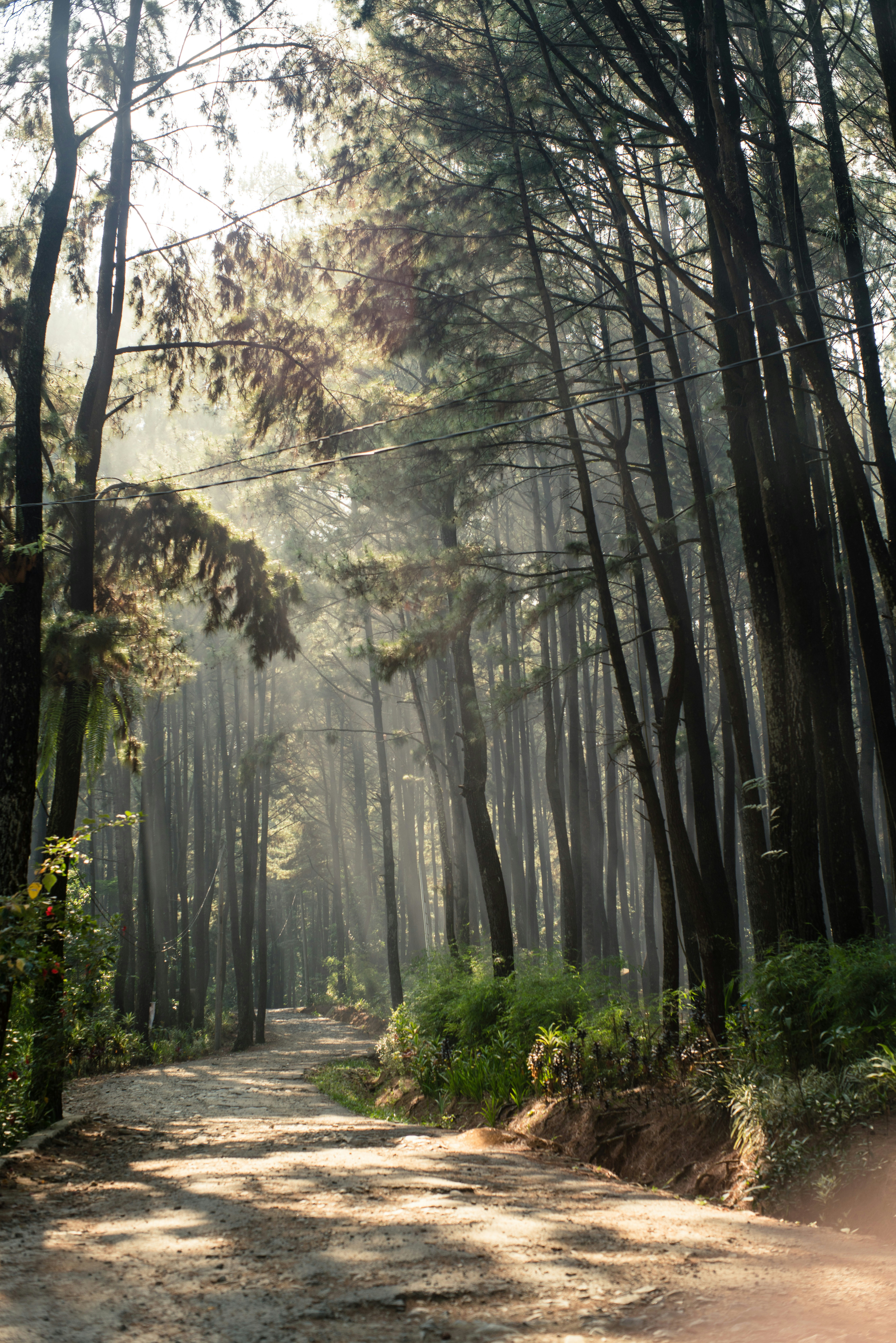 Réservez votre soin