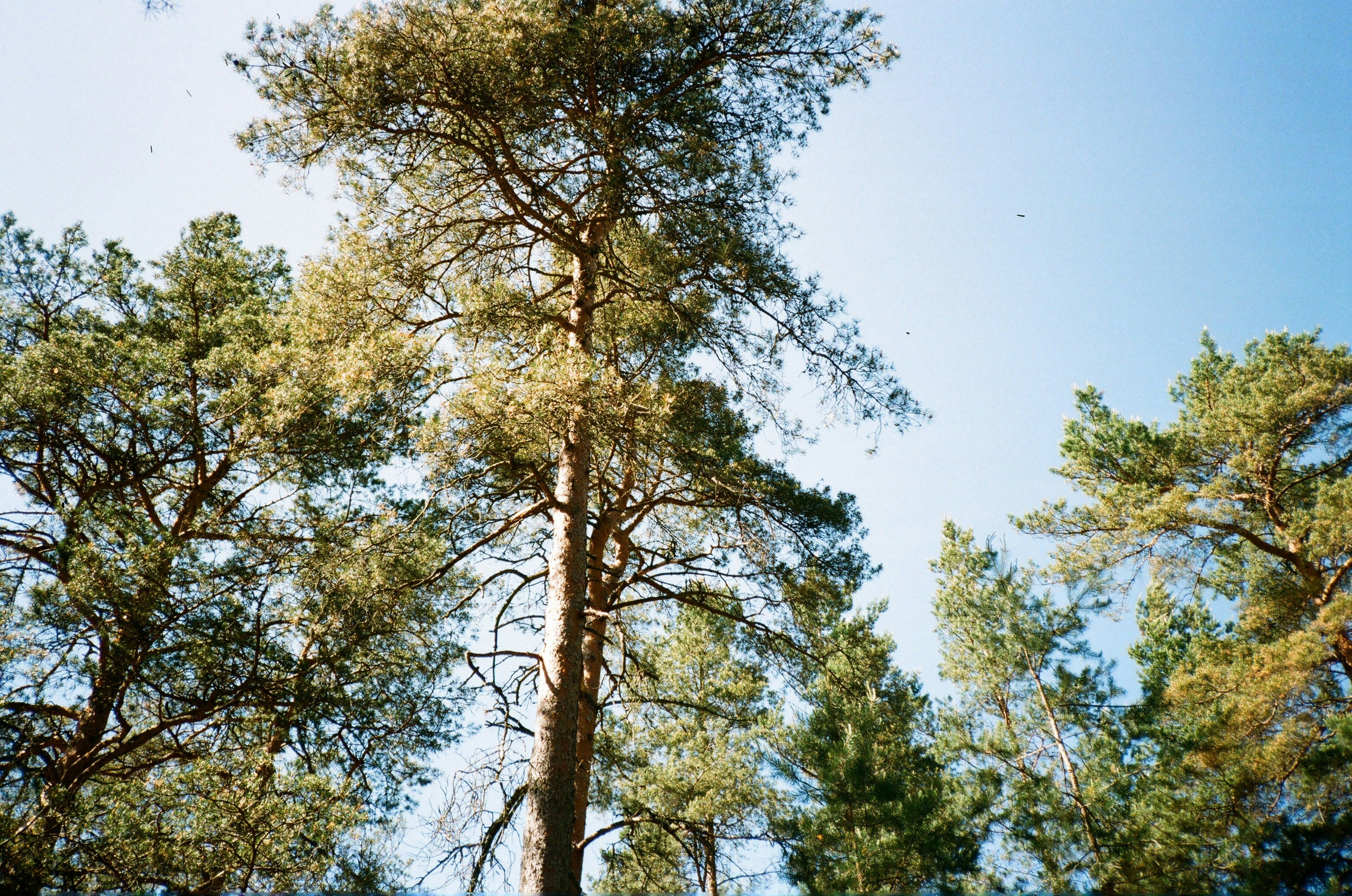 Photo by orange_jews