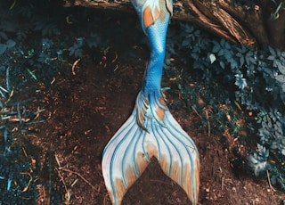 woman in mermaid costume