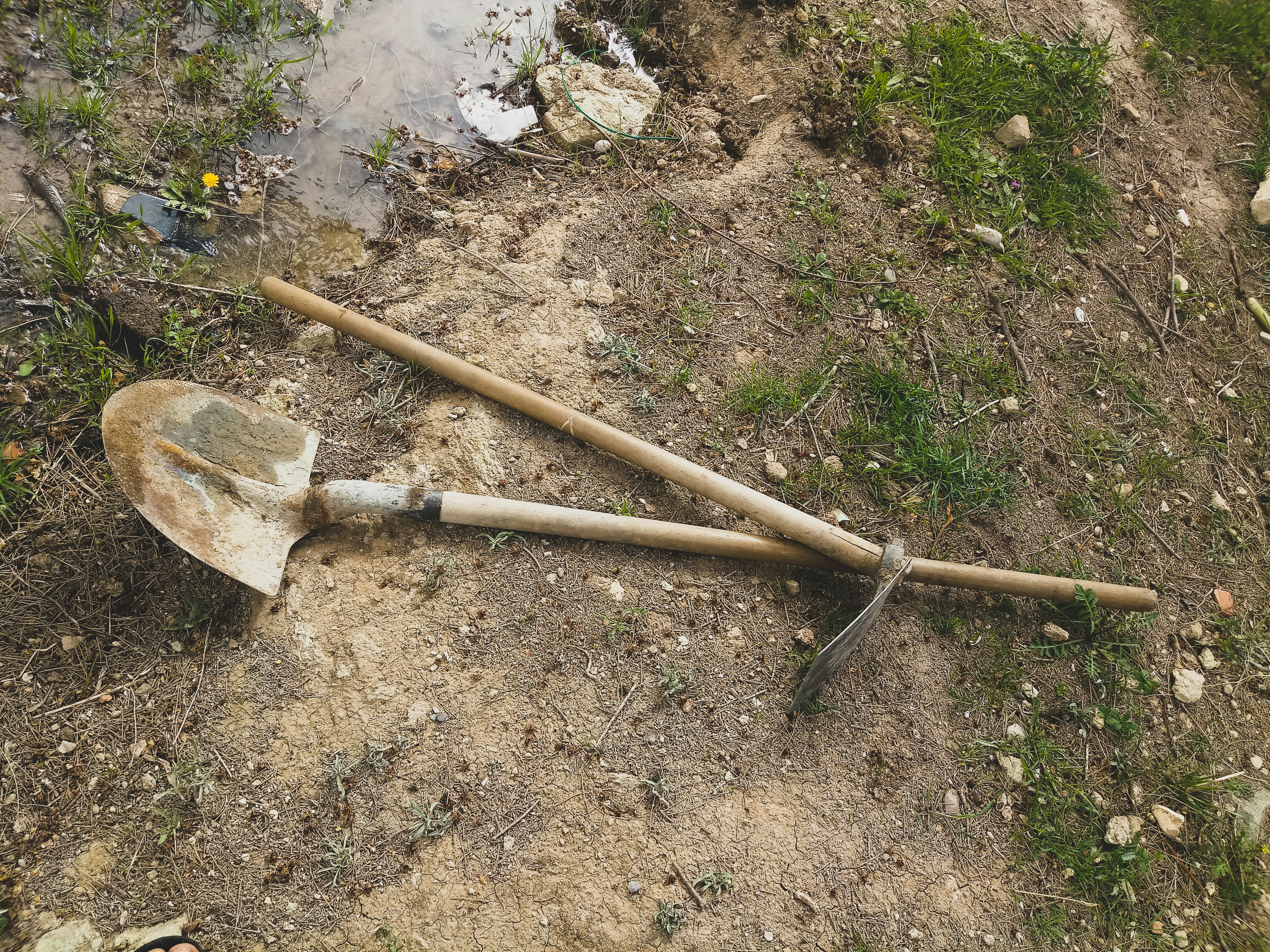 photo 1539785723649 b79d6e990af6?ixlib=rb 4.0