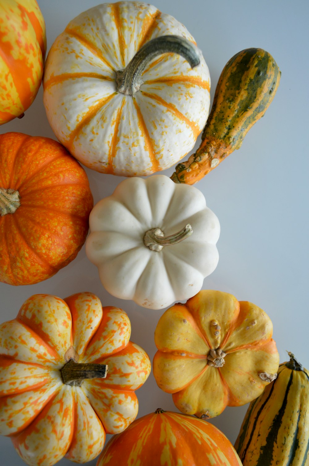 assorted-color squash