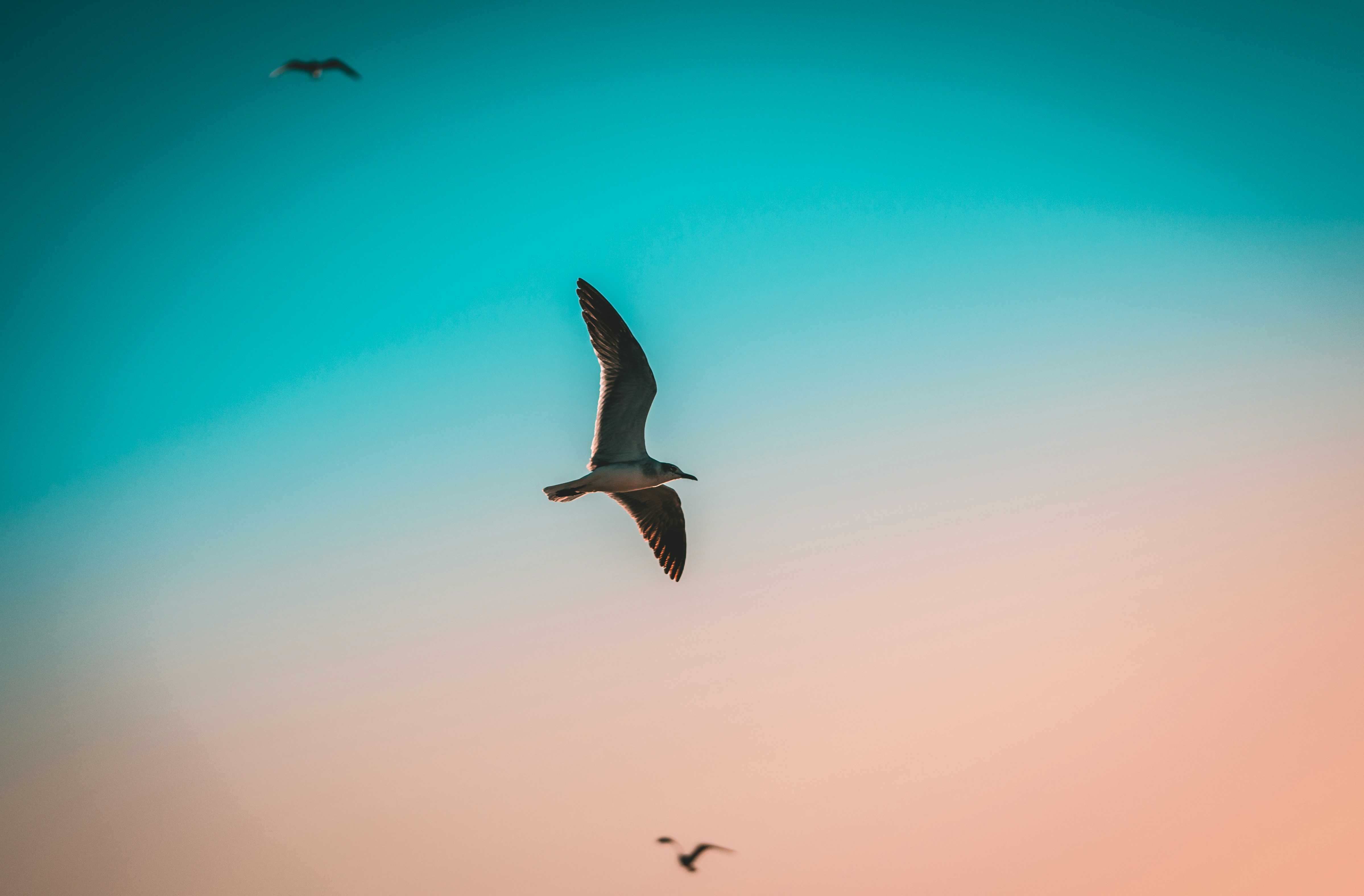 Photo by jwilander