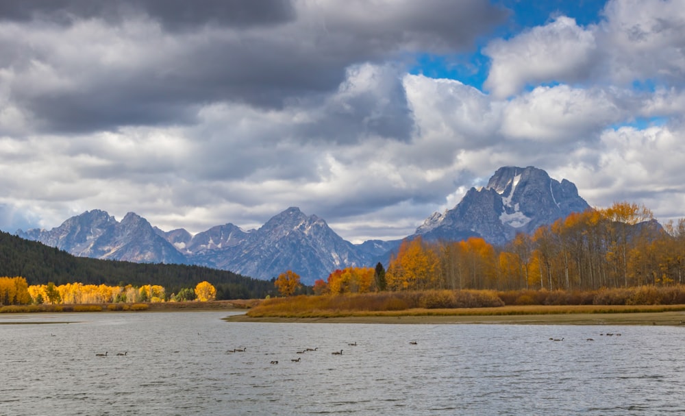 mountains surround with trees near body of water