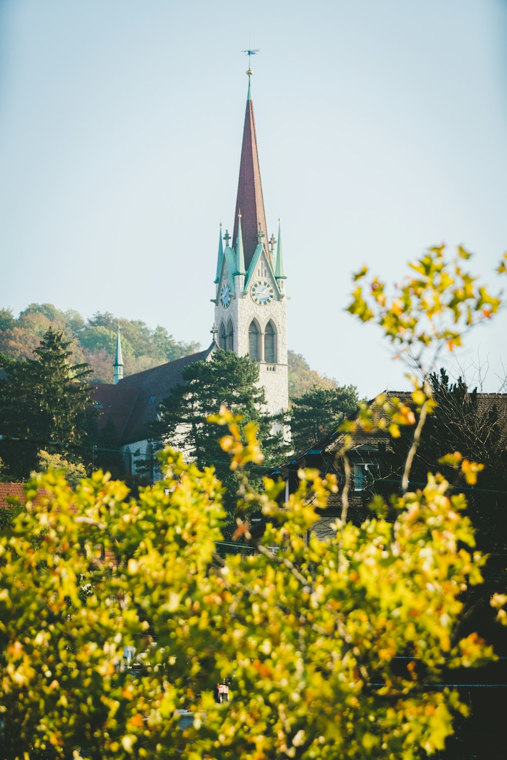 white and brown church beside trees during daytime