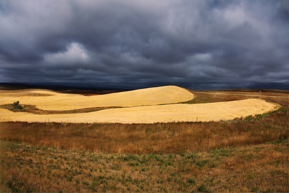 land underneath cumulus clouds