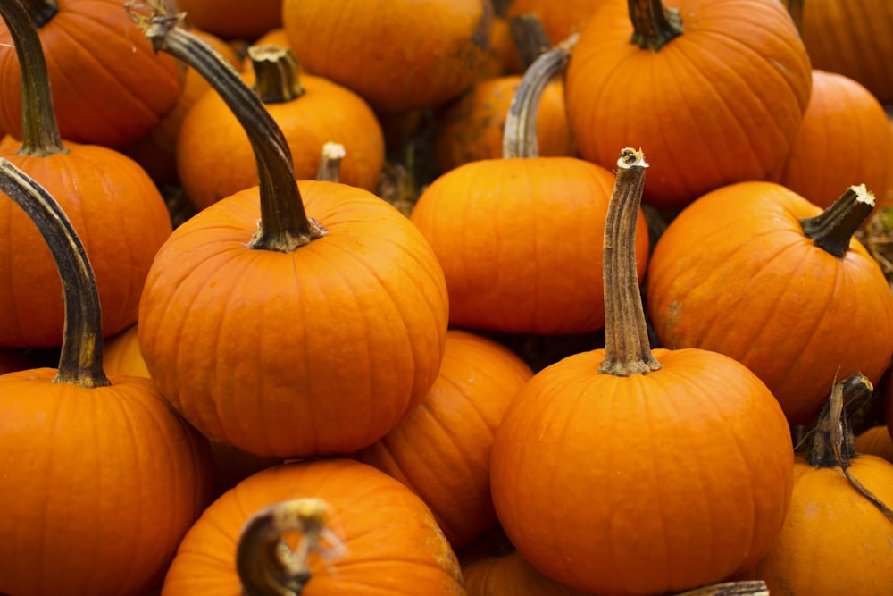 orange pumpkins