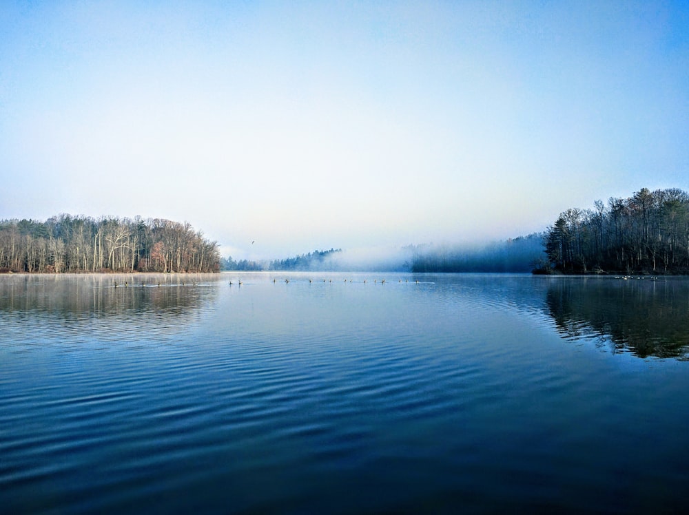 eau calme pendant la journée