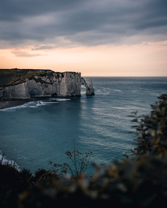 LES JARDINS D'ETRETAT things to do in Yport