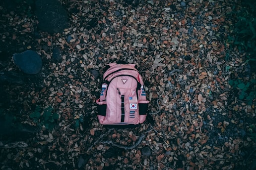 pink and black backpackl