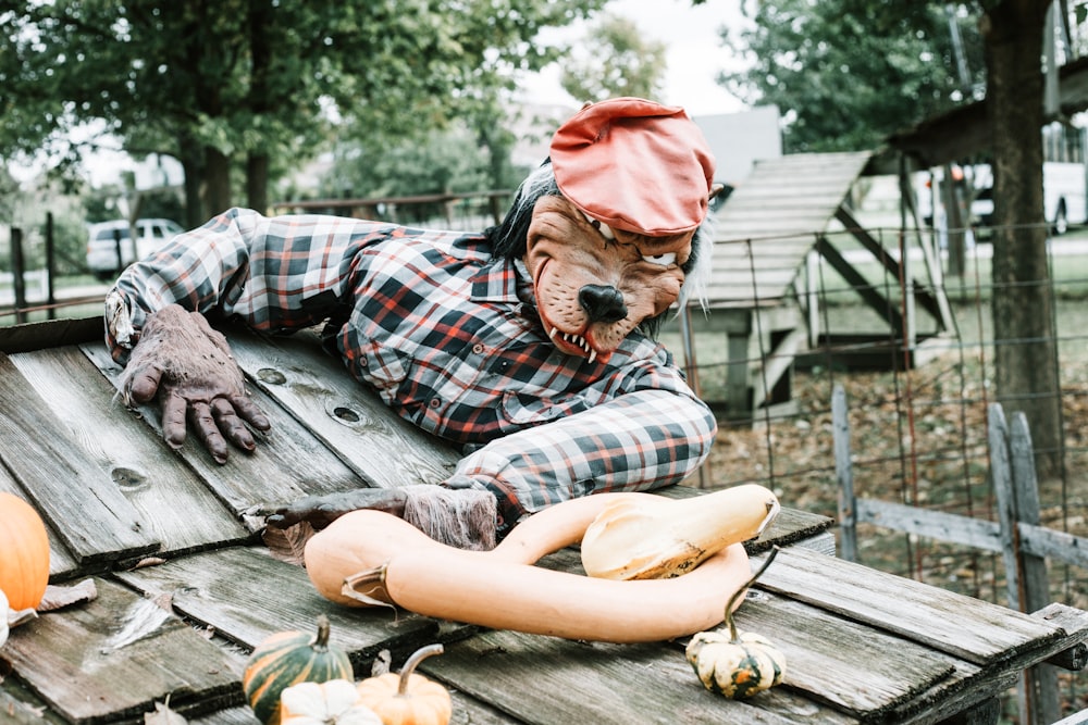 dog costume on brown wooden surface