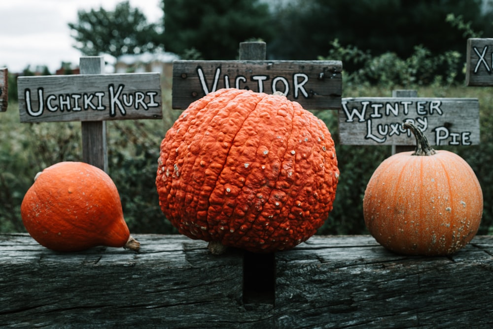 three pumpkins