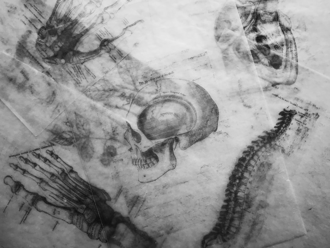 grayscale photography of human skull sketch, I was feeling some Halloween spirit in studio today after I found some of m
