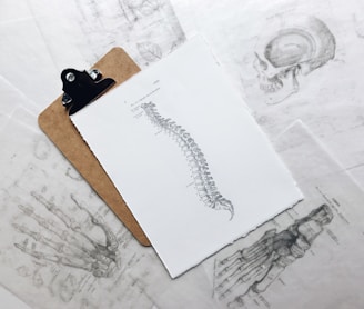 brown and black clipboard with white spinal cord print manual