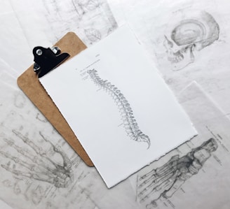 brown and black clipboard with white spinal cord print manual