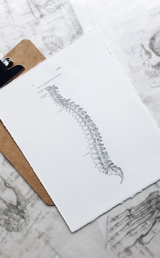 brown and black clipboard with white spinal cord print manual