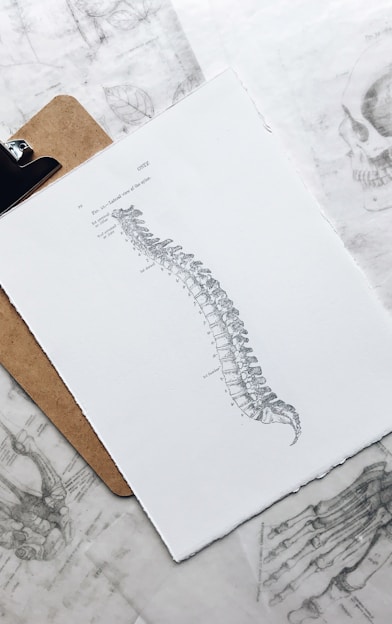 brown and black clipboard with white spinal cord print manual