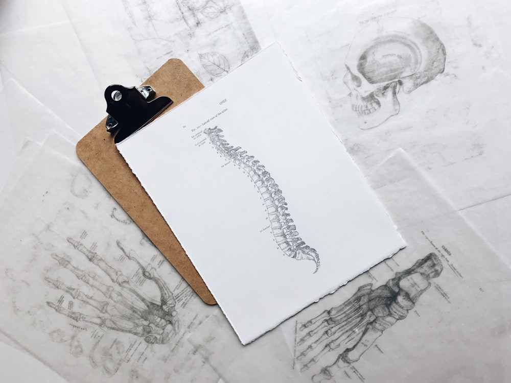 brown and black clipboard with white spinal cord print