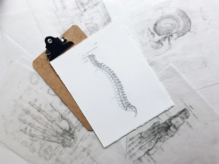 Fisioterapia para coluna e traumato-ortopedia
