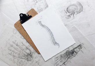 brown and black clipboard with white spinal cord print manual