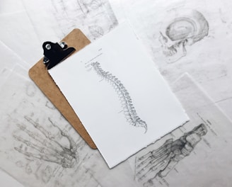 brown and black clipboard with white spinal cord print manual