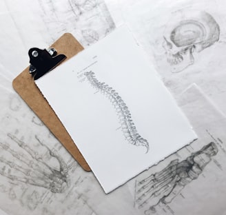 brown and black clipboard with white spinal cord print manual