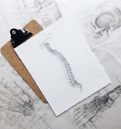 brown and black clipboard with white spinal cord print manual