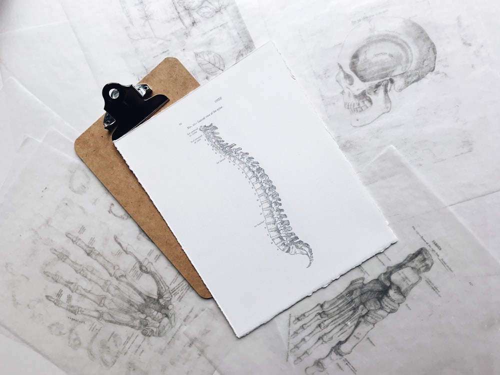portapapeles marrón y negro con manual de impresión de la médula espinal blanca