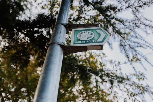 A metal pole holds a green directional sign pointing to the right, labeled 'Riders Route' with additional text 'Ridgeway'. The background features a canopy of tree branches with green foliage against a clear sky.