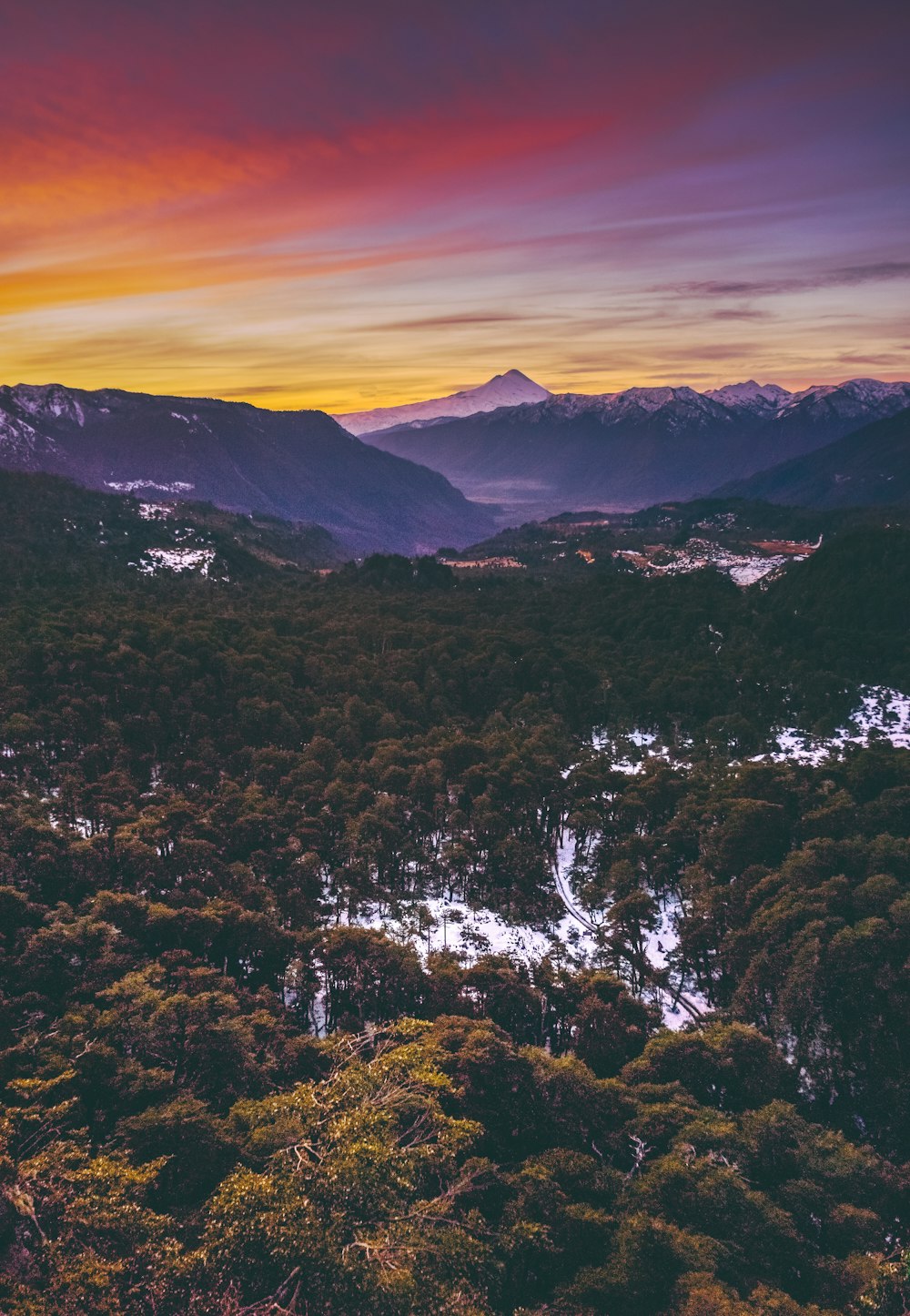 árvores de folhas verdes na montanha