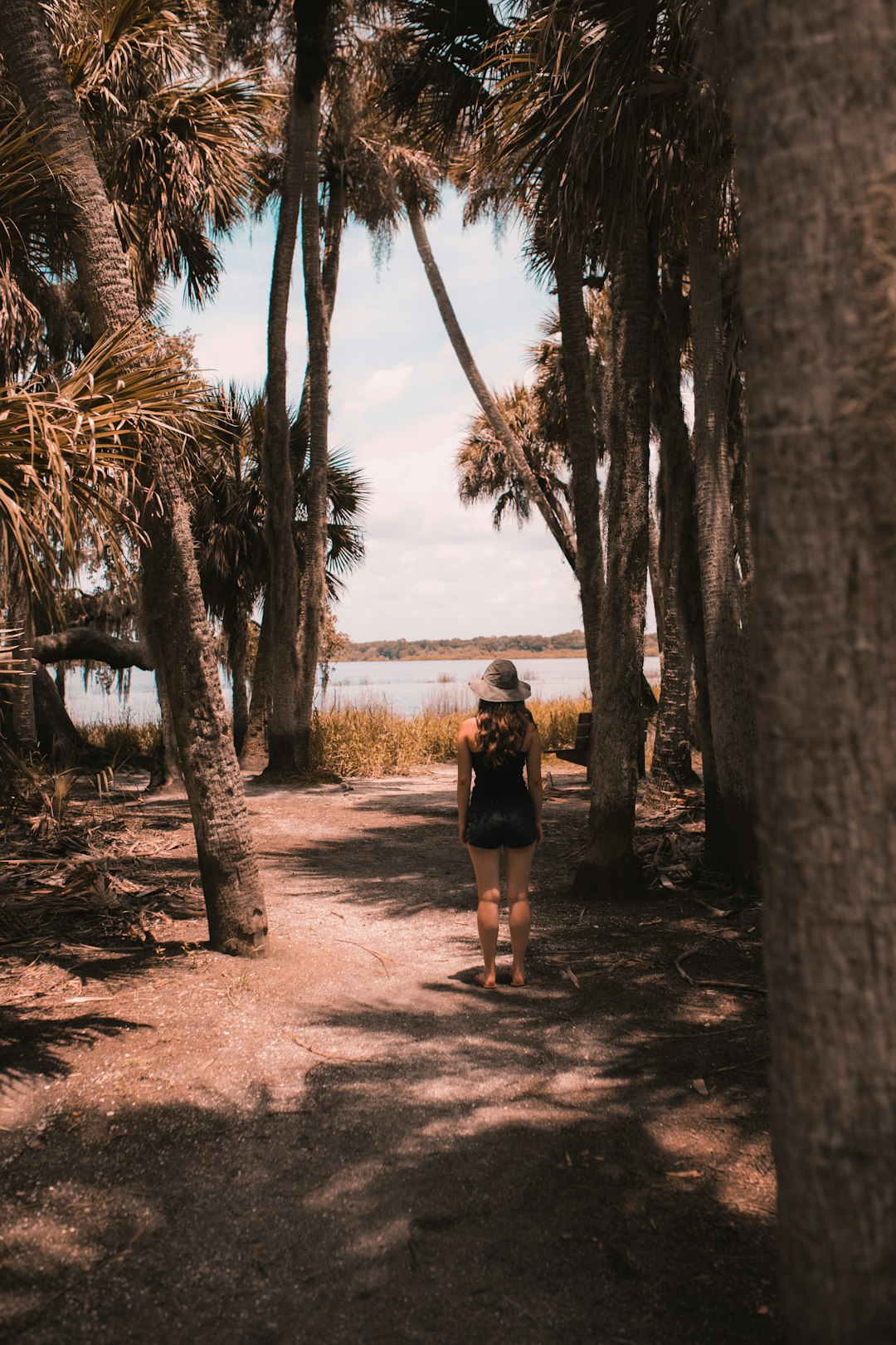 Travel Tips and Stories of Myakka River State Park in United States