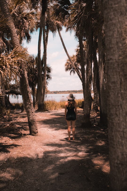 woman standing near palm trees in Myakka River State Park United States